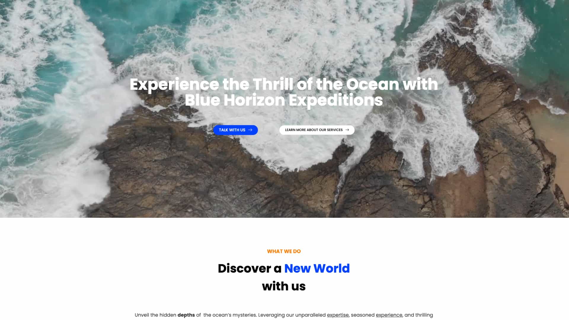 Blue Horizon Expeditions